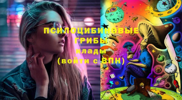 PSILOCYBIN Богданович