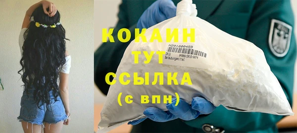 PSILOCYBIN Богданович