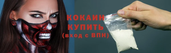 PSILOCYBIN Богданович