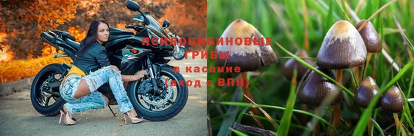 PSILOCYBIN Богданович