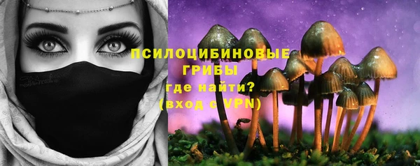 COCAINE Богородск