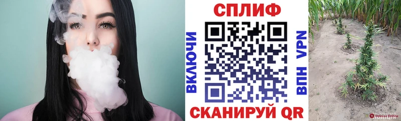 Марихуана SATIVA & INDICA Кирсанов